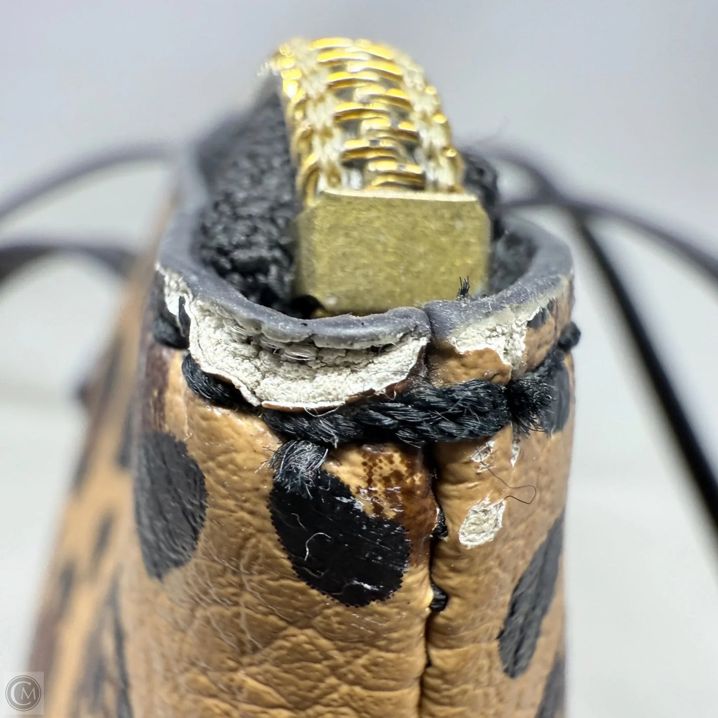 Felicity Leopard Print PVC Tote By Fossil, Size: Medium