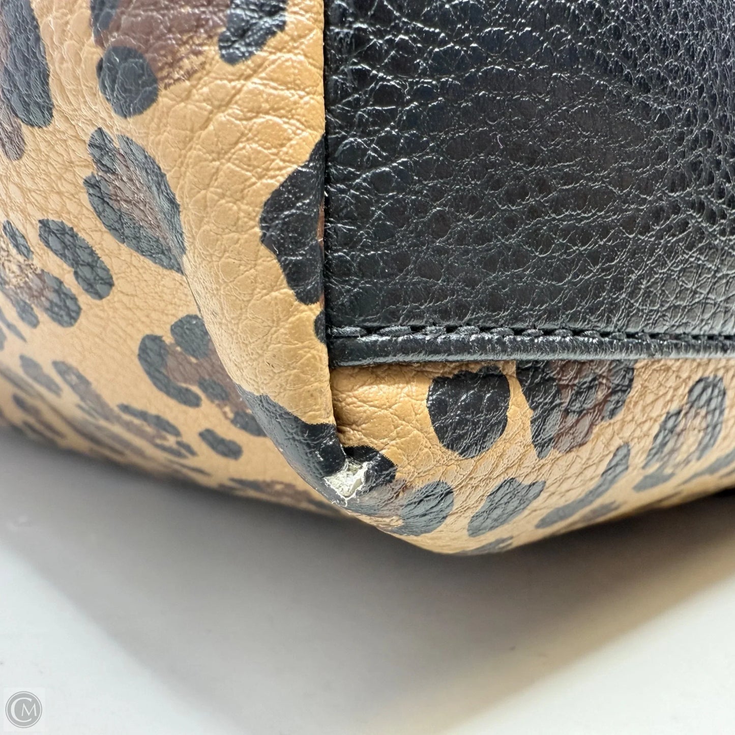 Felicity Leopard Print PVC Tote By Fossil, Size: Medium