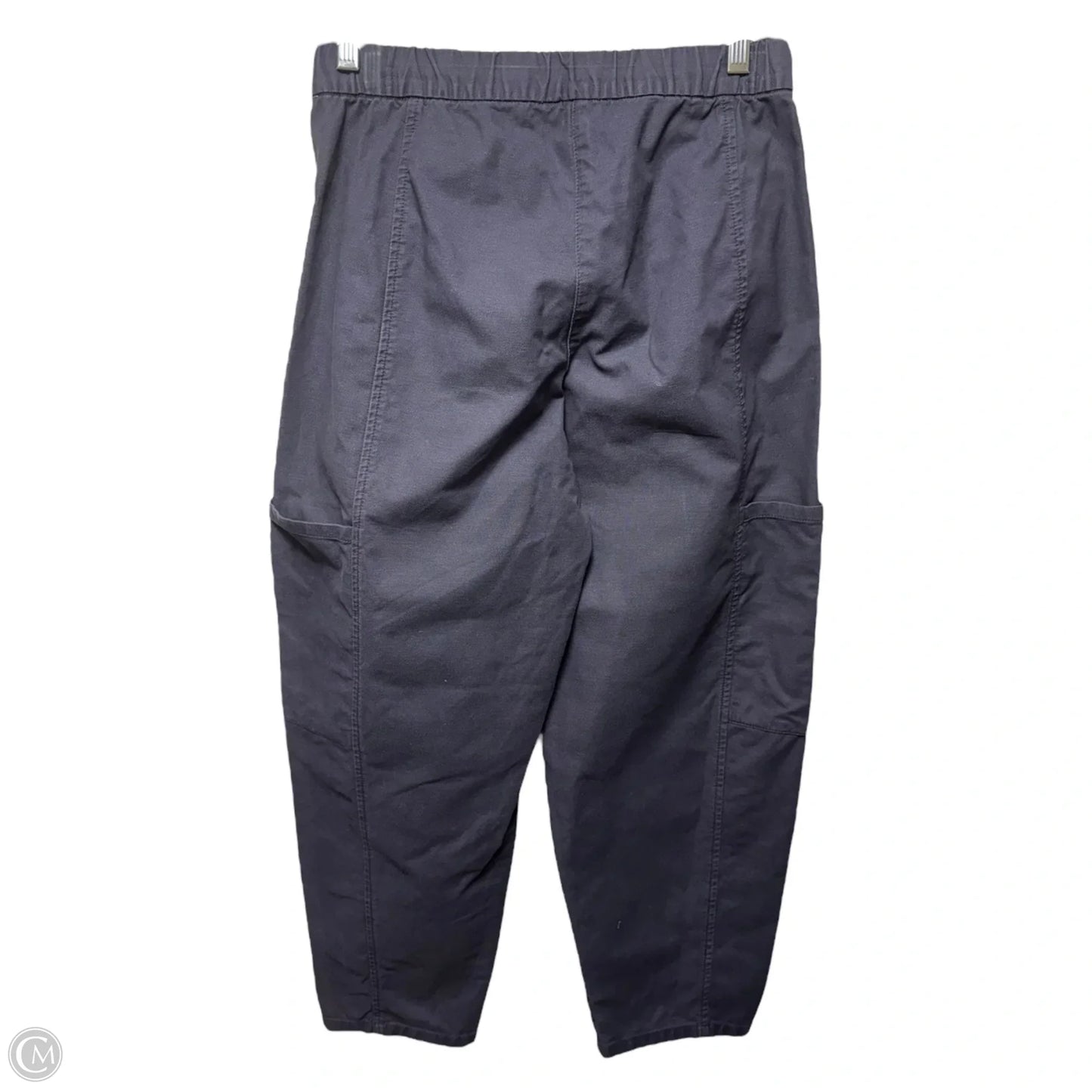 Pants Cargo & Utility By Eileen Fisher In Navy, Size: Sp - PP/PTP