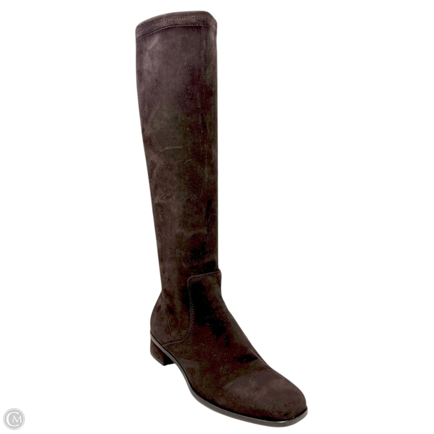 Knee High Suede Boots By Aquatalia In Espresso, Size: 6