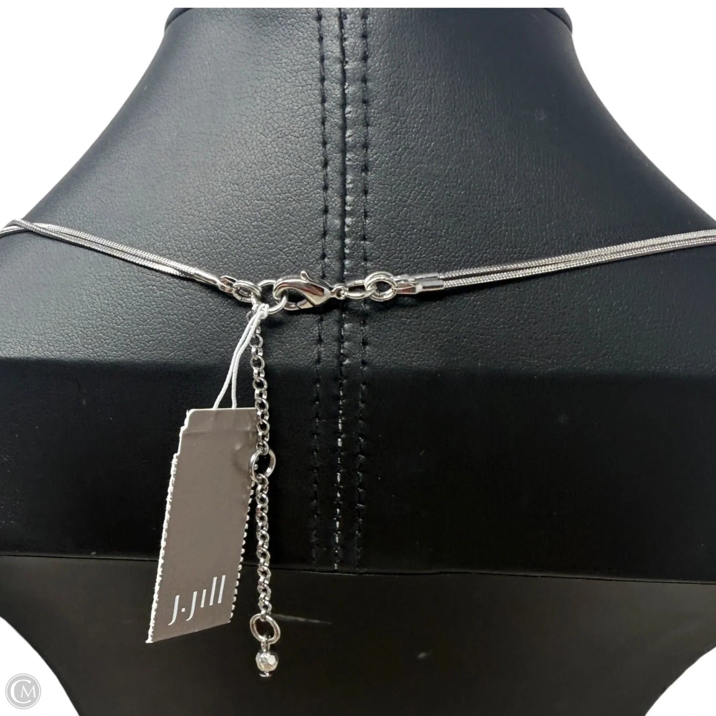 Silver Tone Layered Circle Pendant Necklace By J. Jill