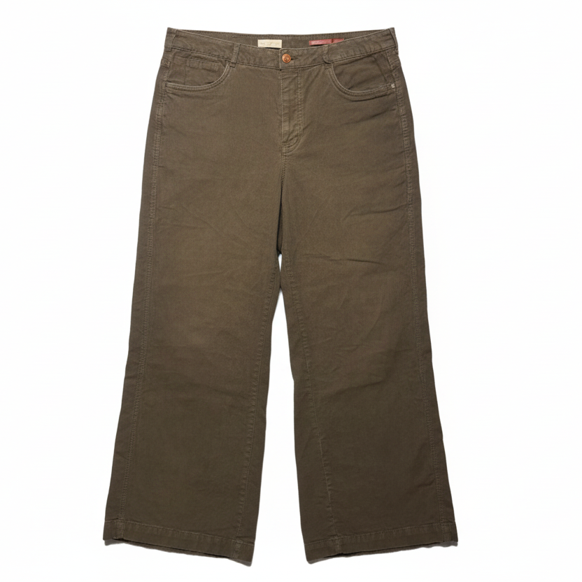 Pants Corduroy By Pilcro In Brown, Size: 12/31