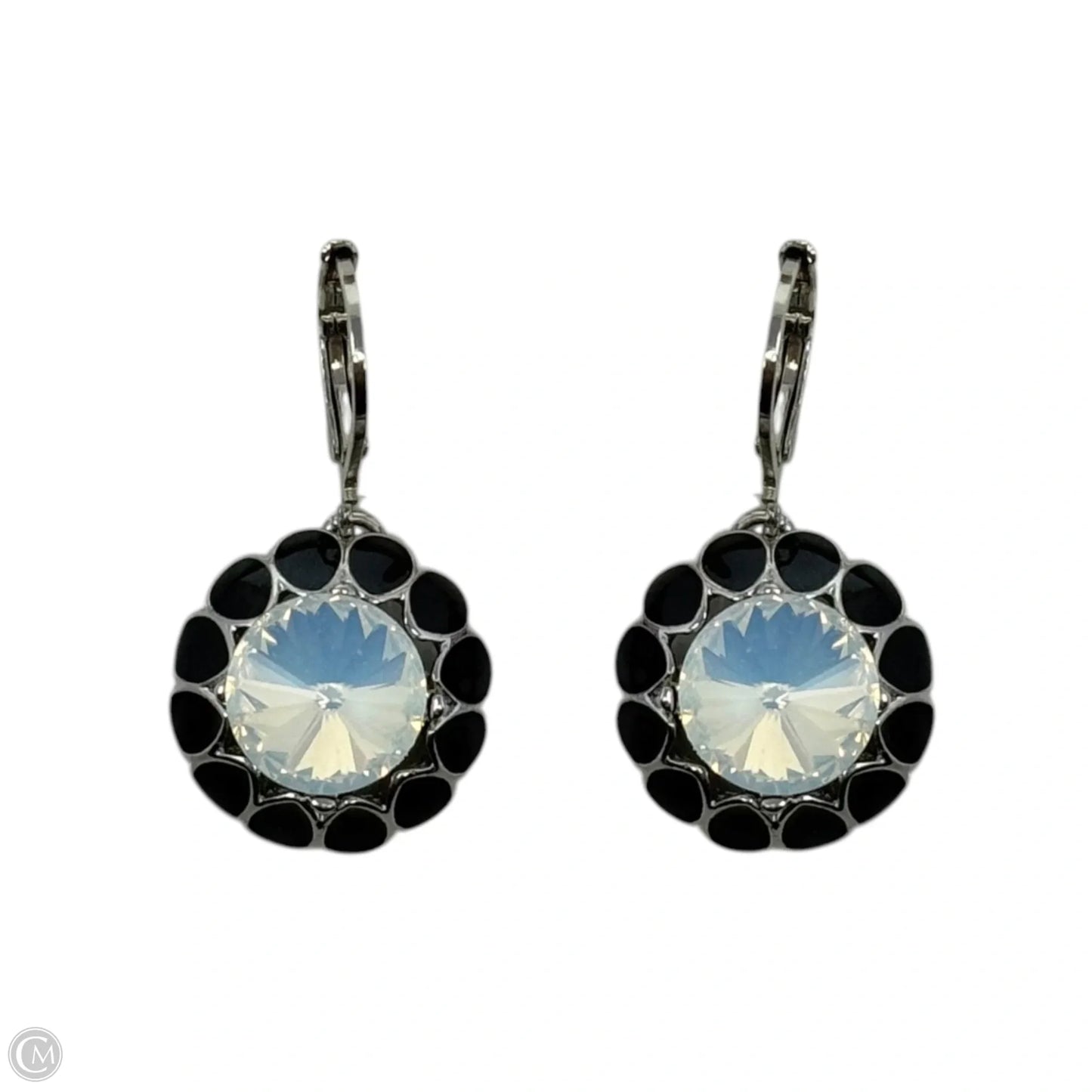 Iridescent Stone Dangle Earrings