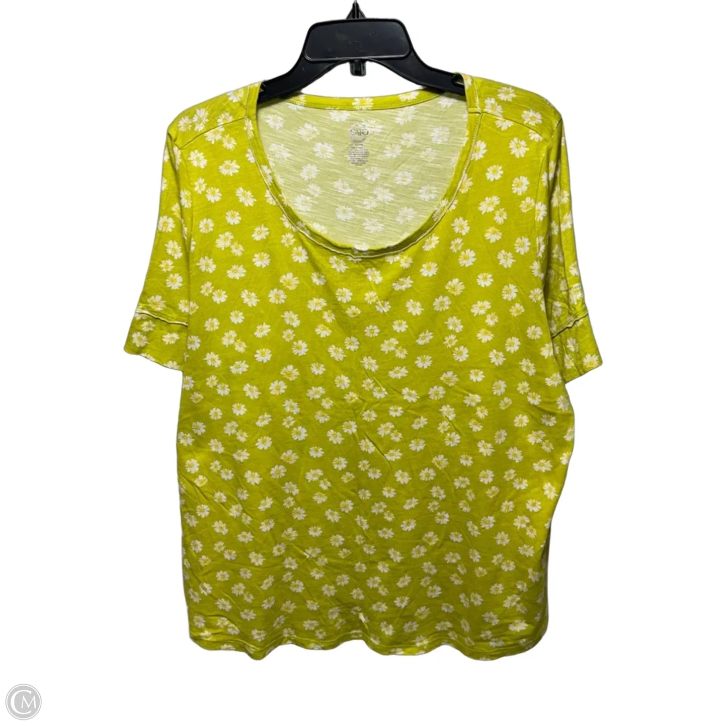Top Short Sleeve By Cato In Floral Print, Size: 22/24