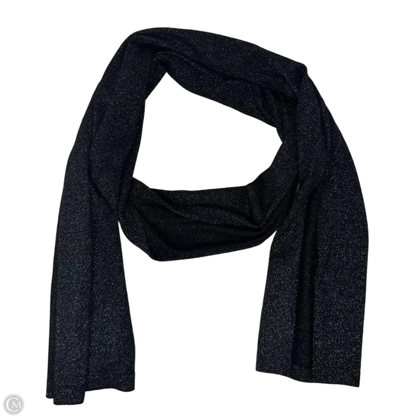 Metallic Merino Wool Scarf Long By Eileen Fisher