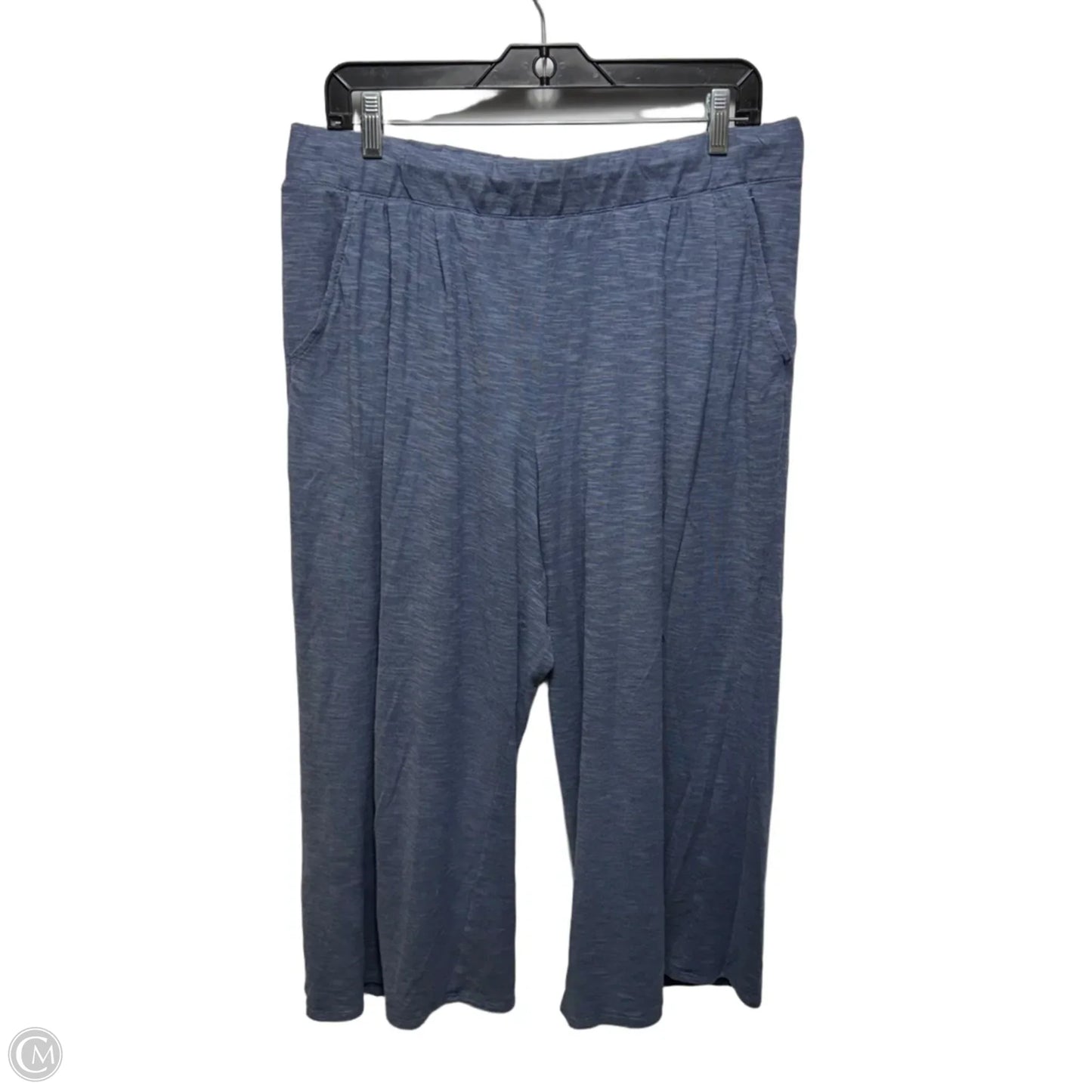 Pants Cropped By Garnet Hill In Blue, Size: L