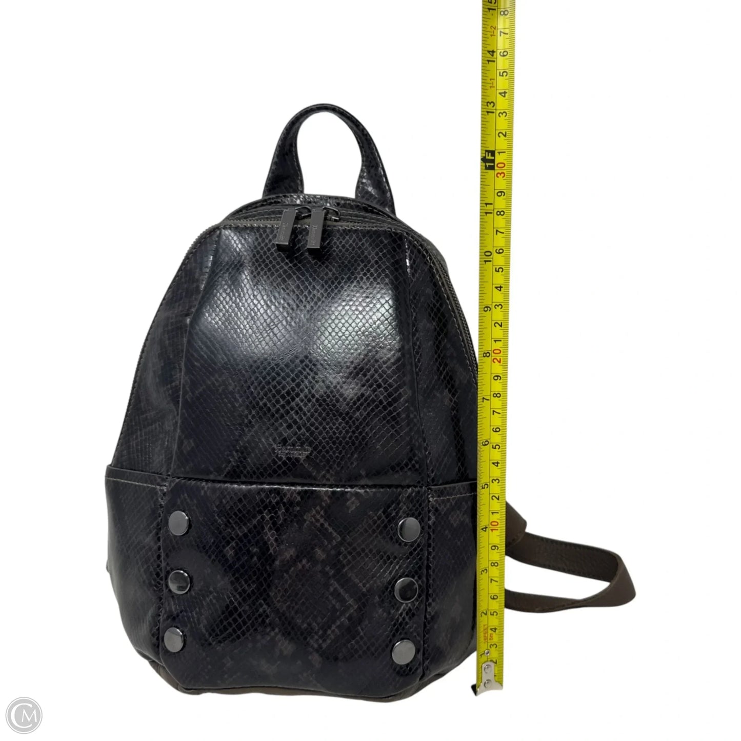 Hunter Backpack Leather By Hammitt, Size: Small