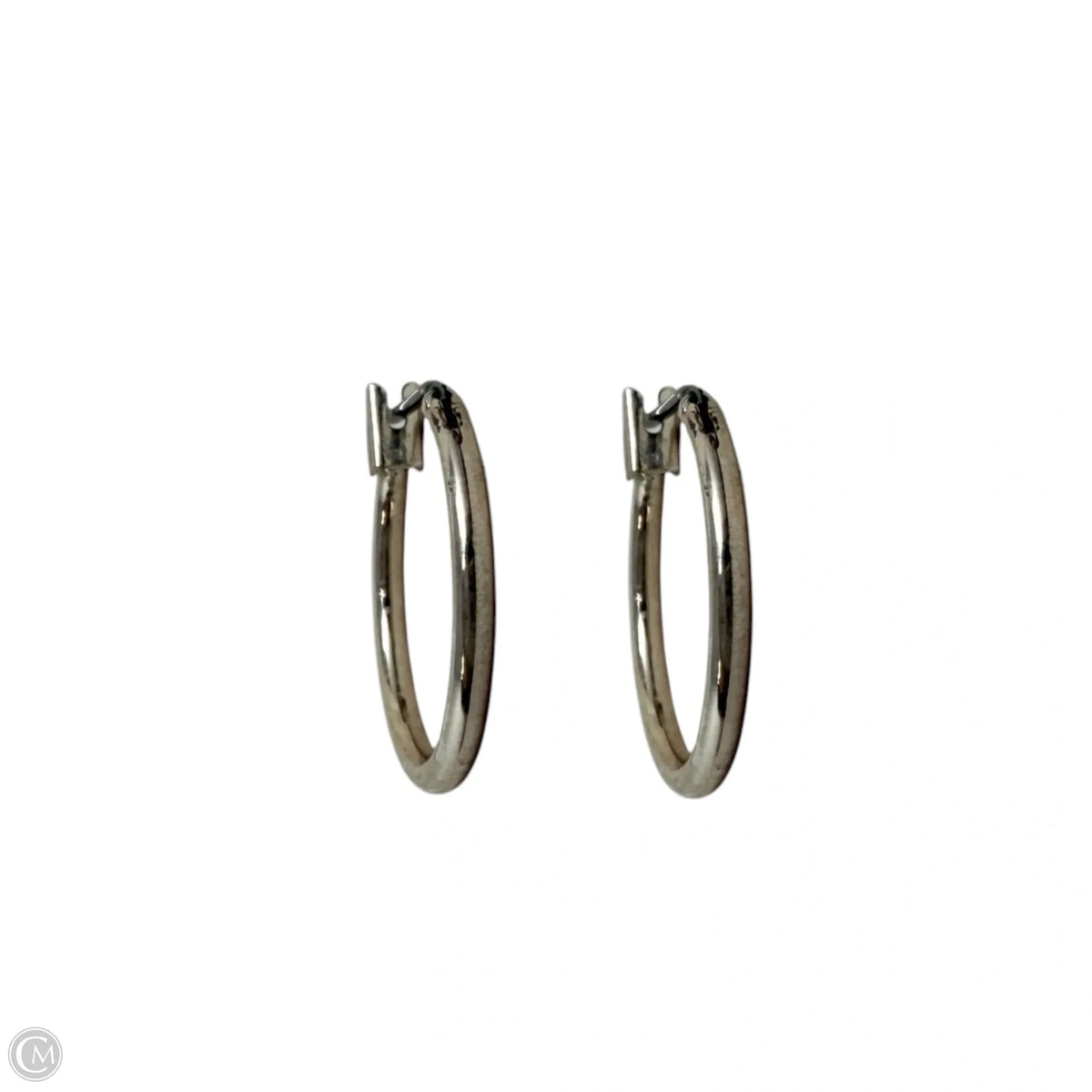 Silver Tone Hoop Earrings