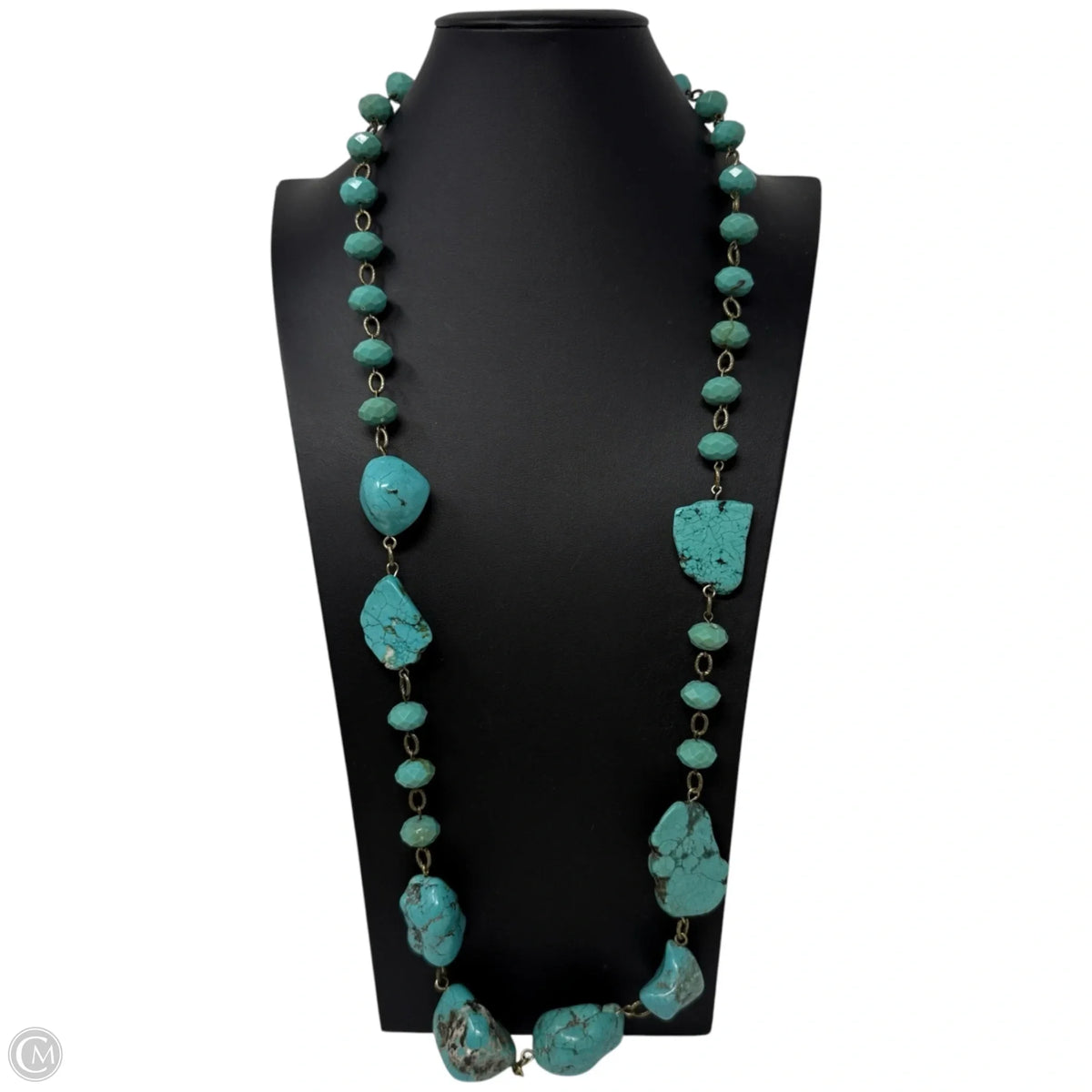Skye Long Necklace By Chicos