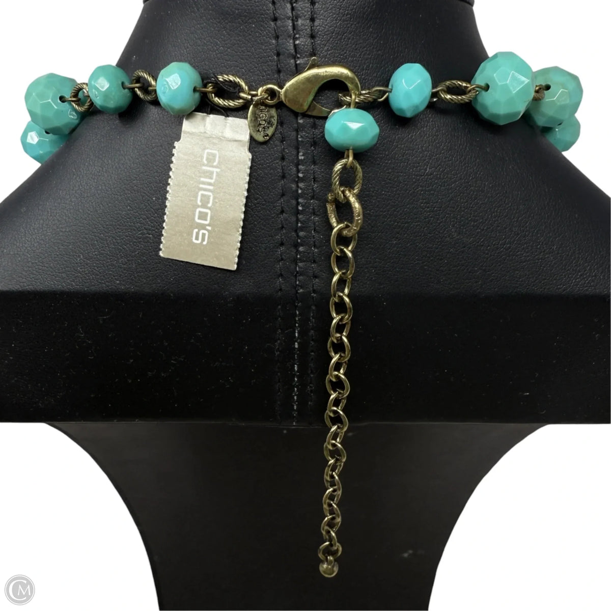 Skye Long Necklace By Chicos