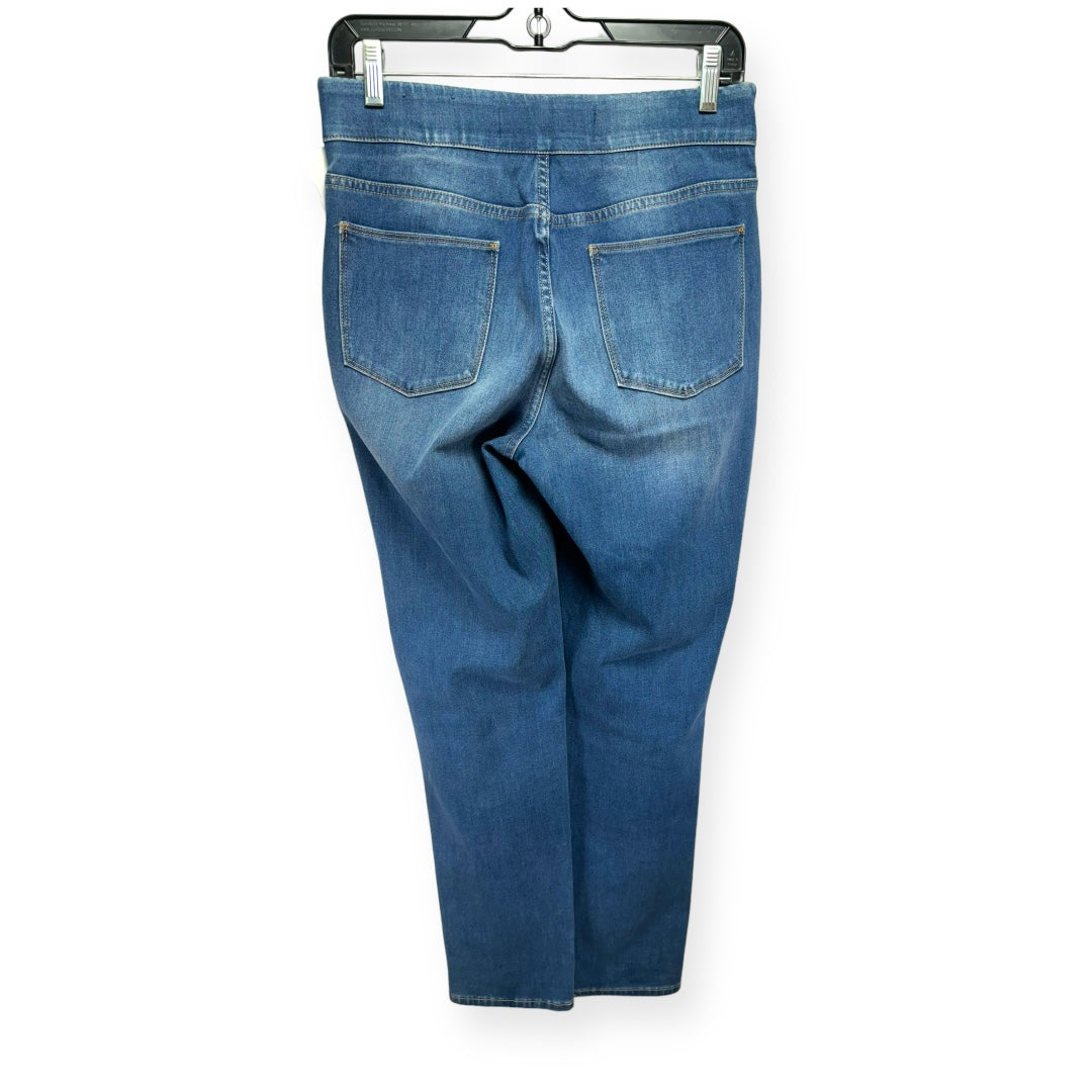 Blue Denim Jeans Skinny Soft Surroundings, Size S