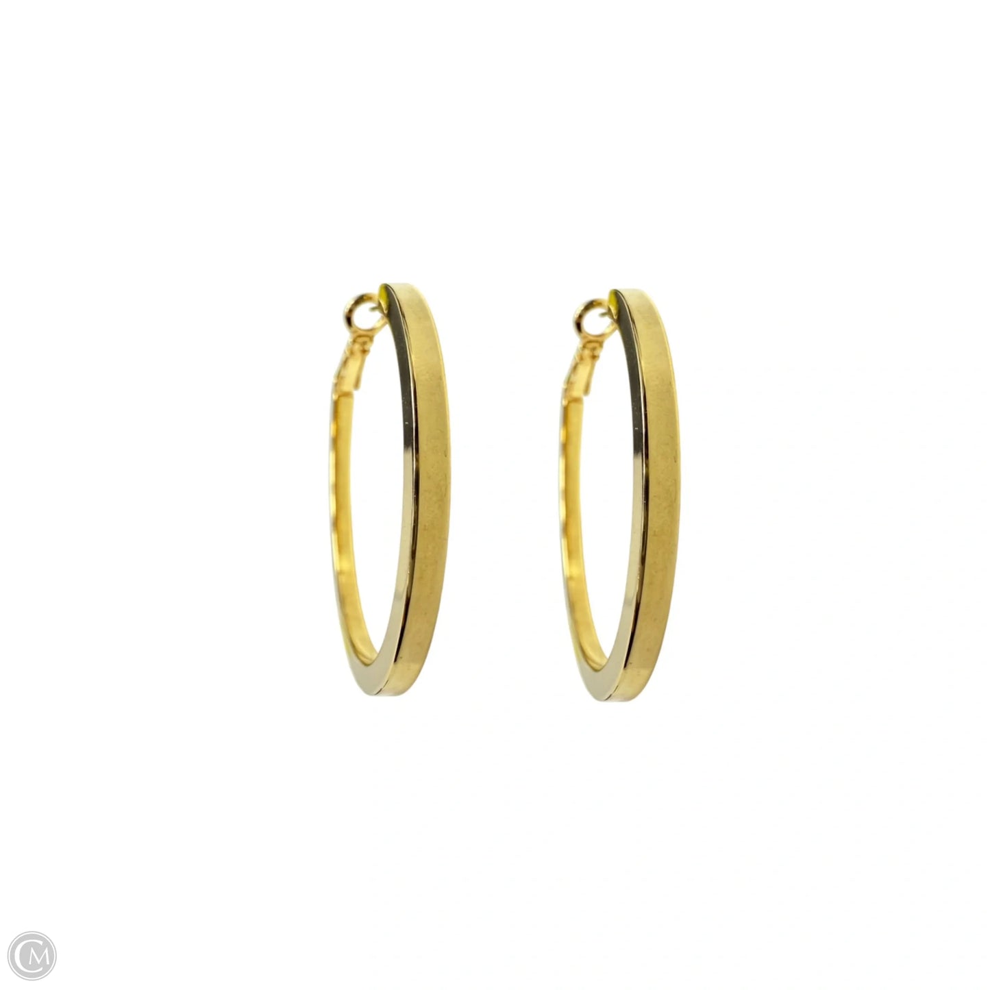 Gold Tone Hoop Earrings