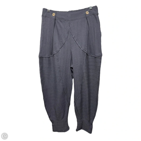 Pants By Free People In Navy, Size: Xs