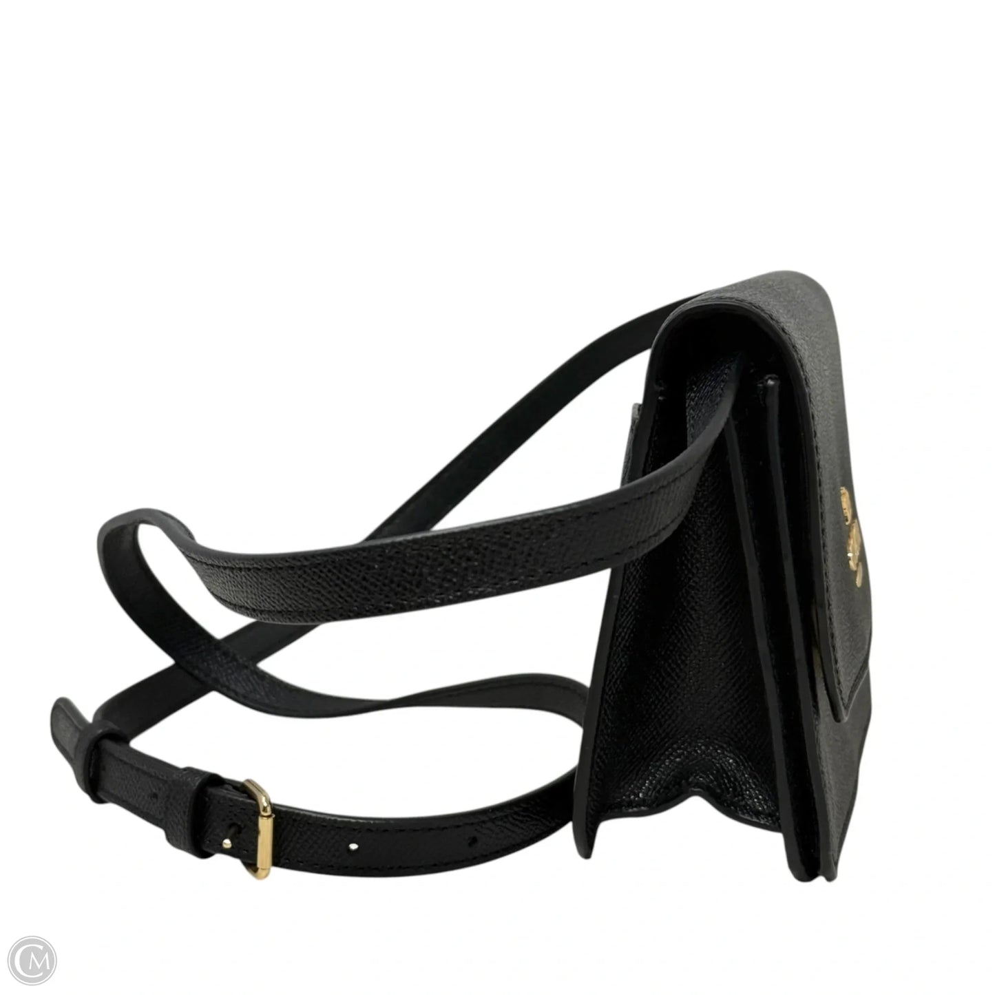 Mini Brynn Crossbody Designer By Coach, Size: Small