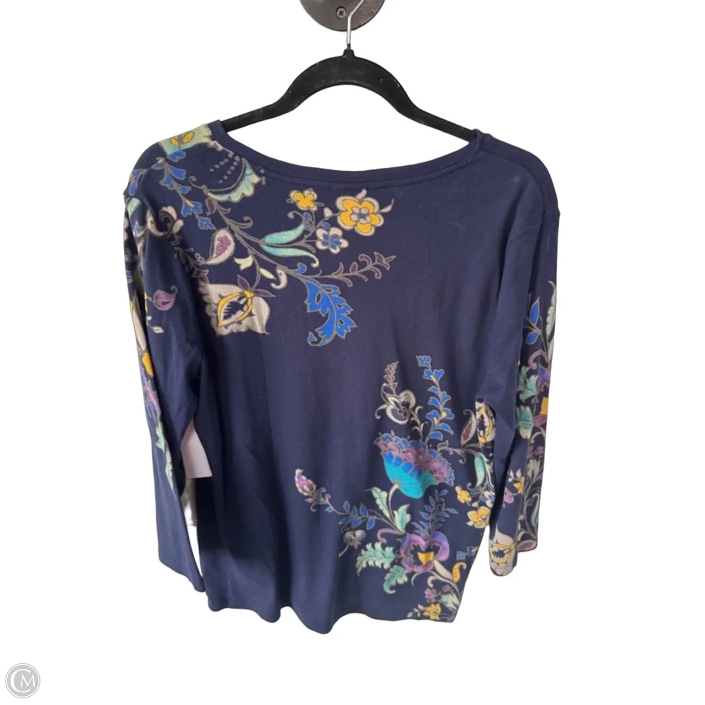 Top 3/4 Sleeve By Chicos In Blue & Tan, Size: L