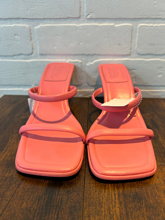 Pink Sandals Heels Kitten Zara, Size 8.5