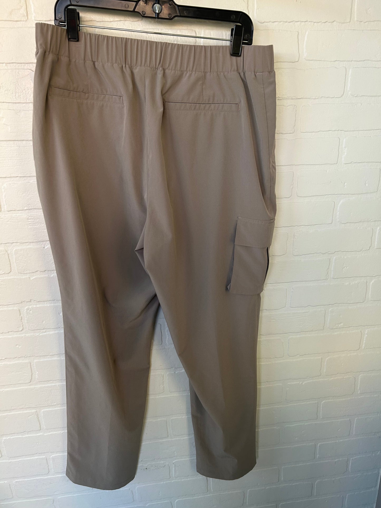 Athletic Pants By Chicos In Tan, Size: 14