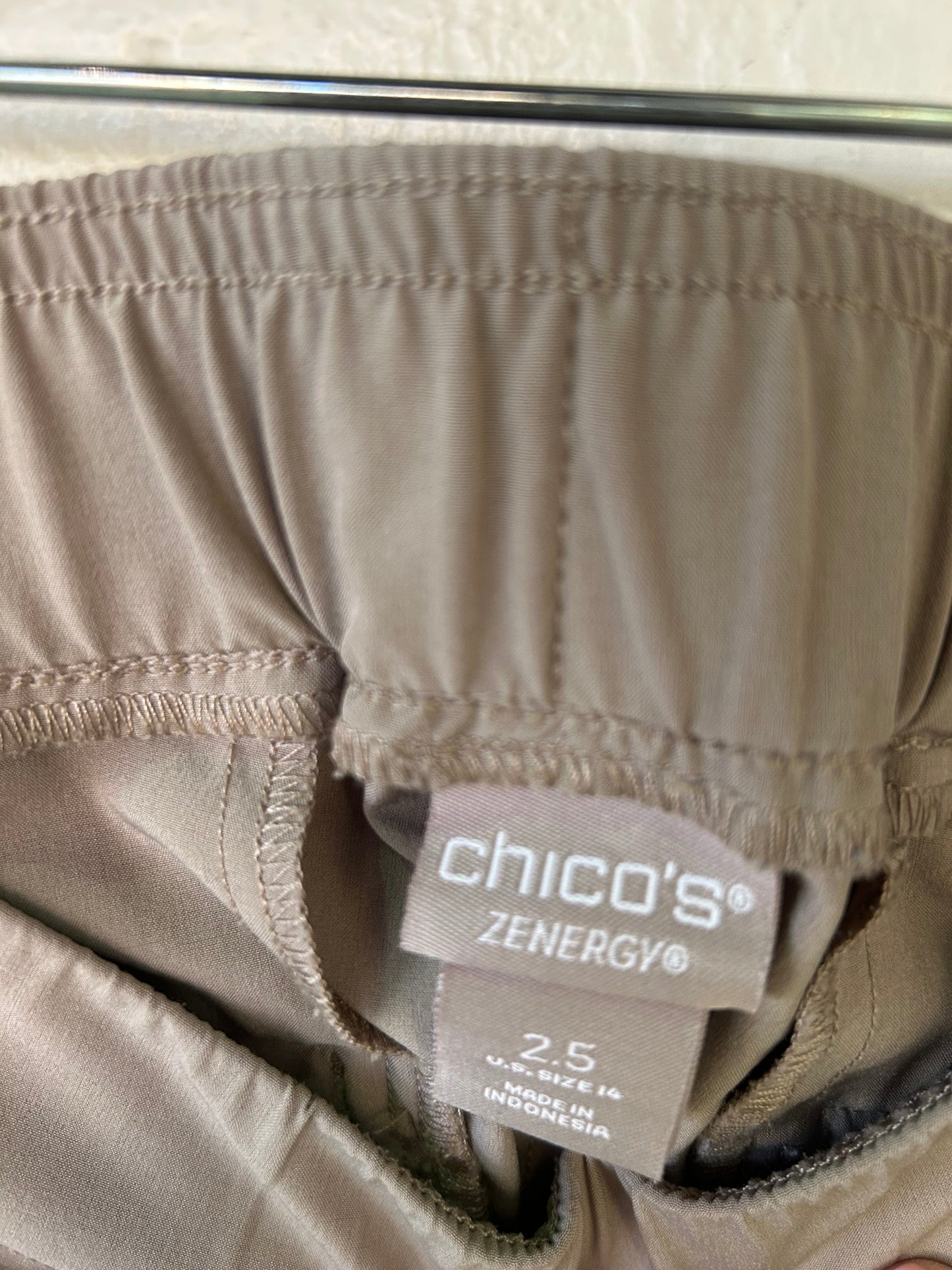 Athletic Pants By Chicos In Tan, Size: 14