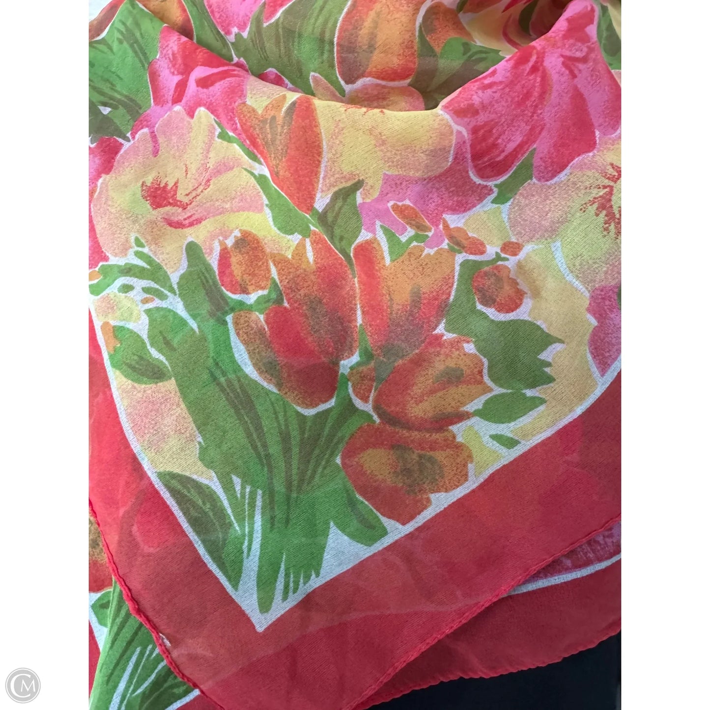 Scarf Long By Clothes Mentor