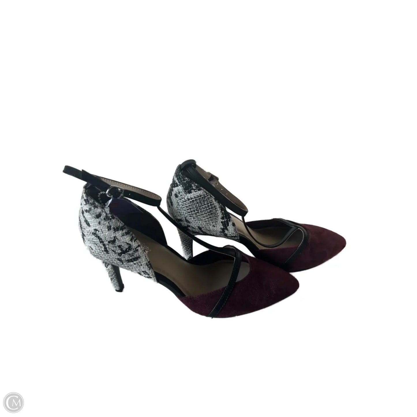 Shoes Heels Stiletto By Seychelles In Snakeskin Print, Size: 8