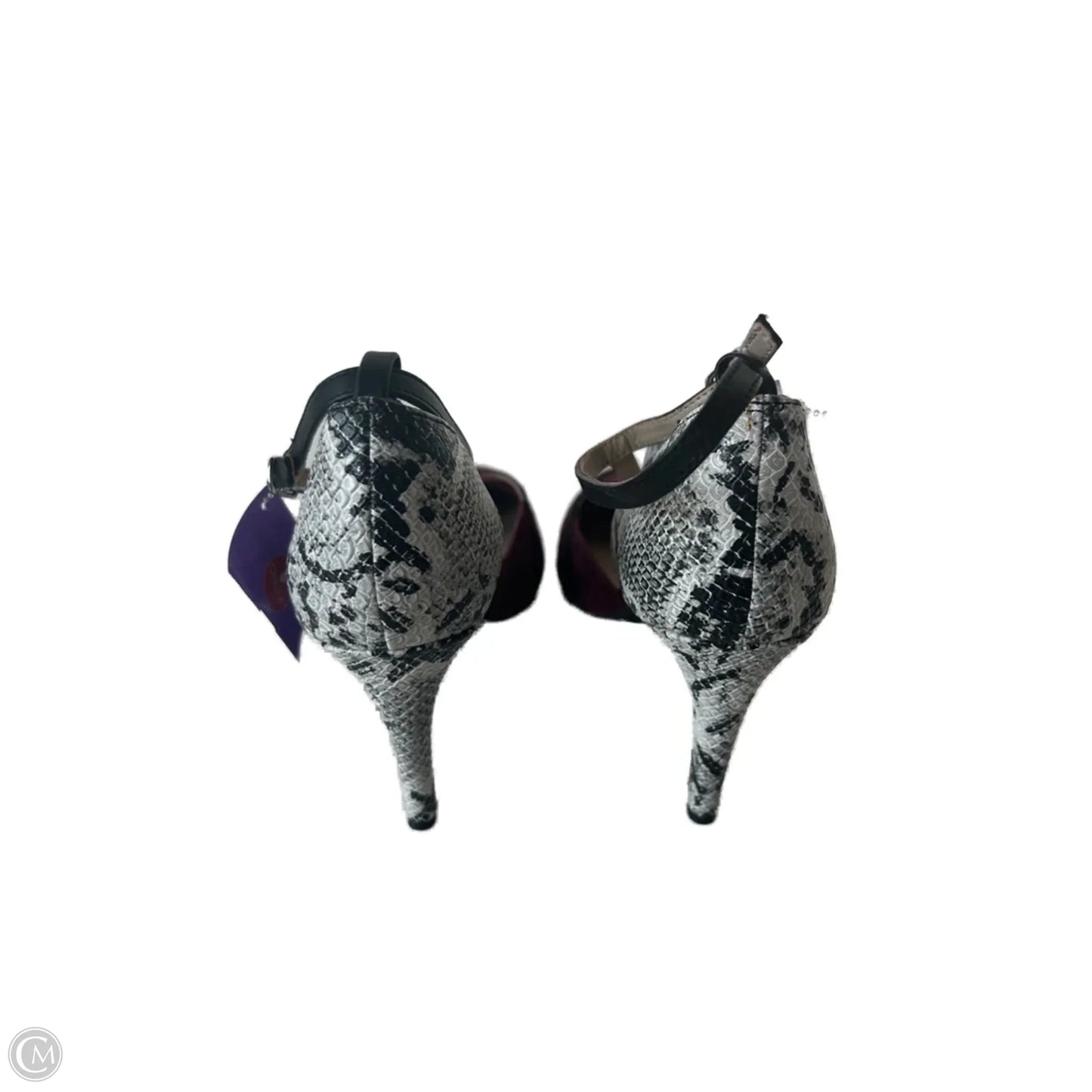 Shoes Heels Stiletto By Seychelles In Snakeskin Print, Size: 8