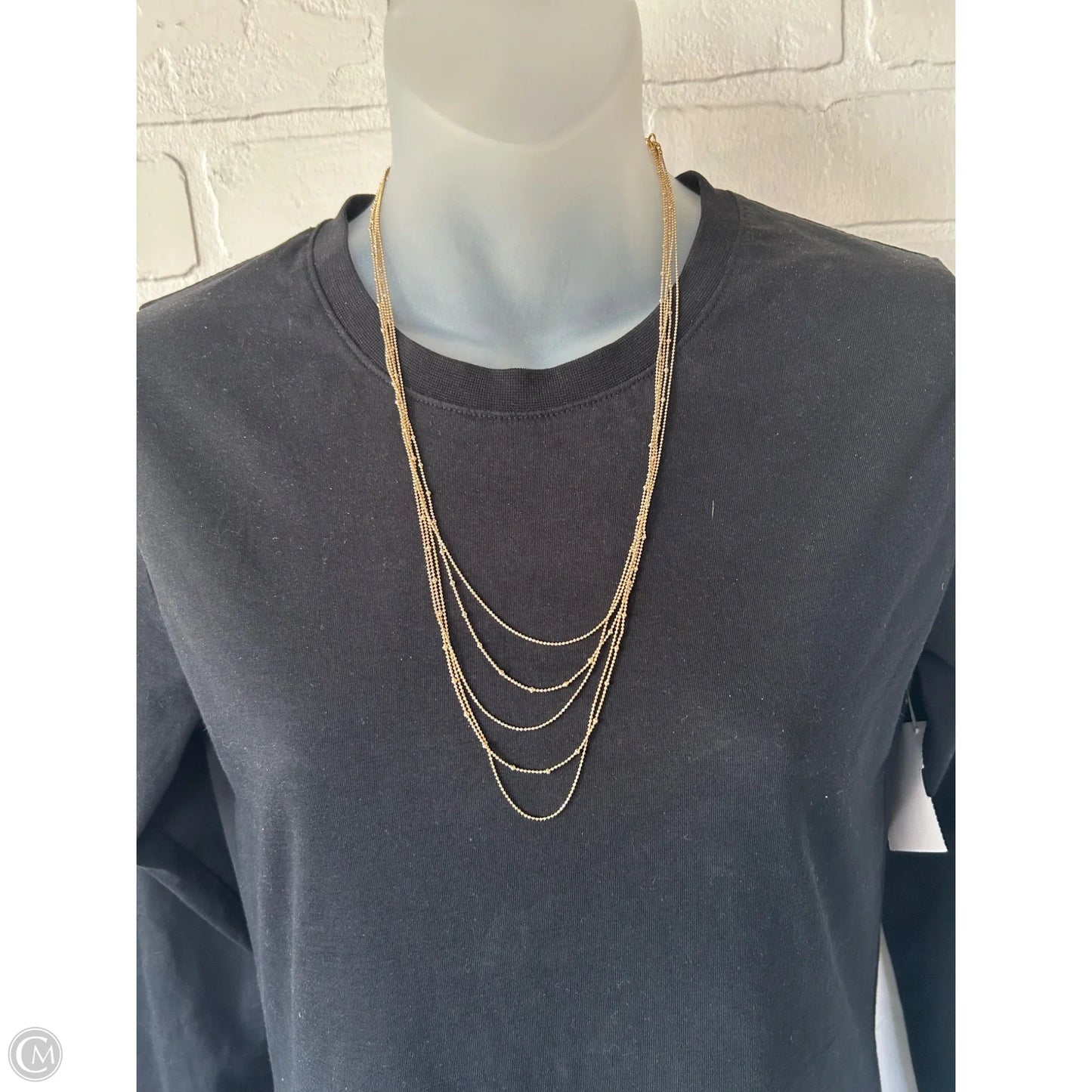 Necklace Layered By Anthropologie
