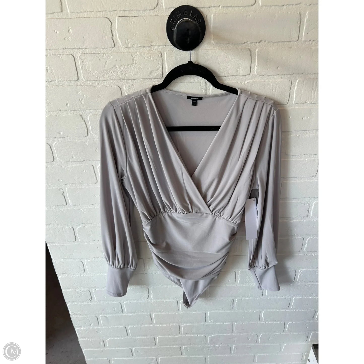 Bodysuit By Express In Grey, Size: S