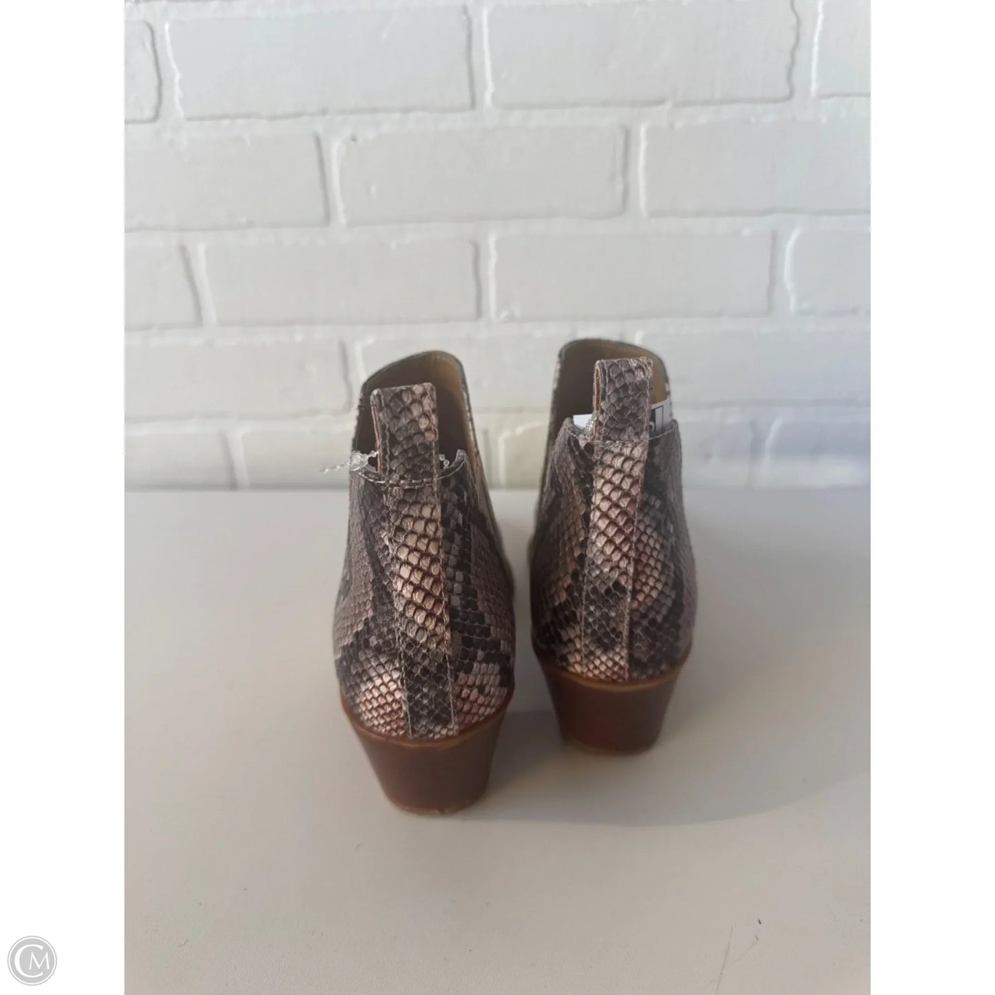 Boots Ankle Heels By Dolce Vita In Snakeskin Print, Size: 7.5