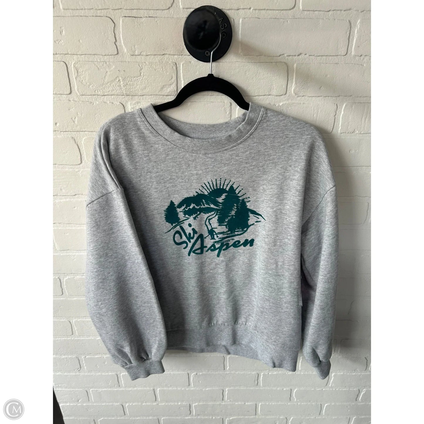 Sweatshirt Crewneck By C And C In Grey, Size: L
