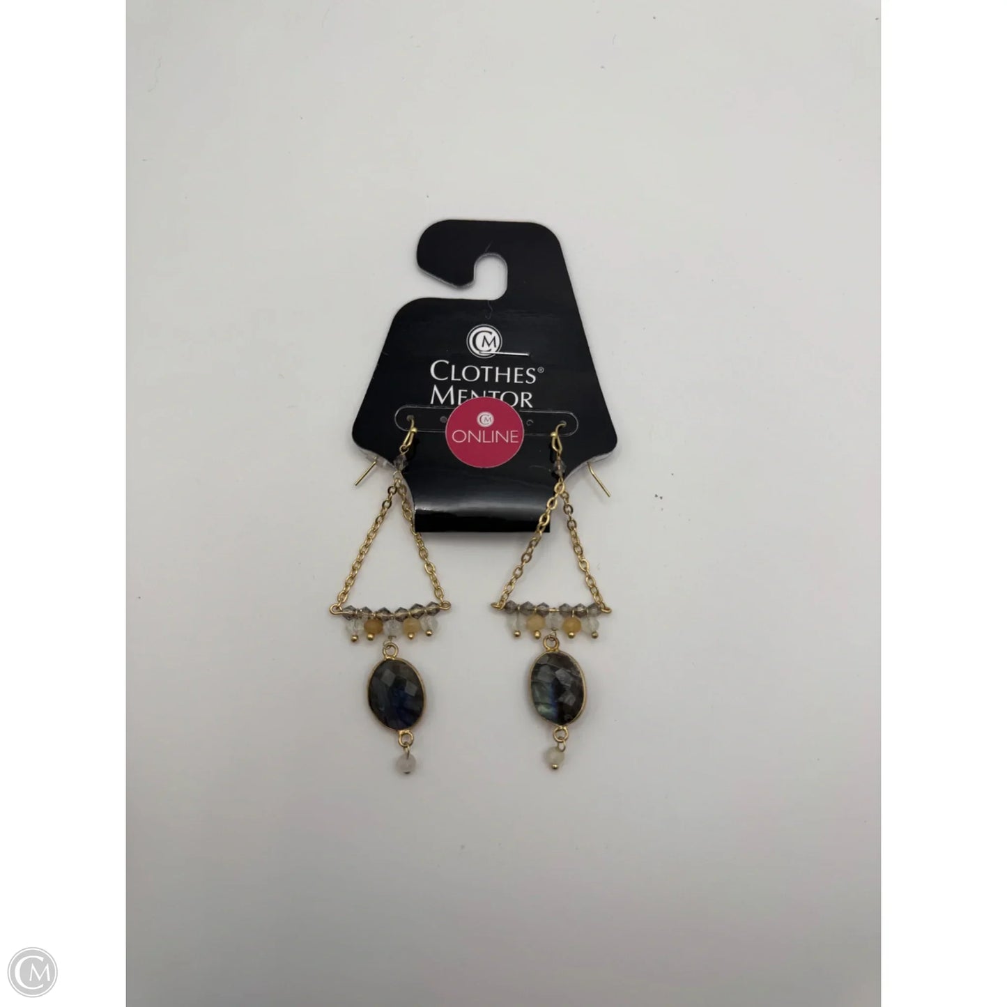 Earrings Dangle/drop By Clothes Mentor