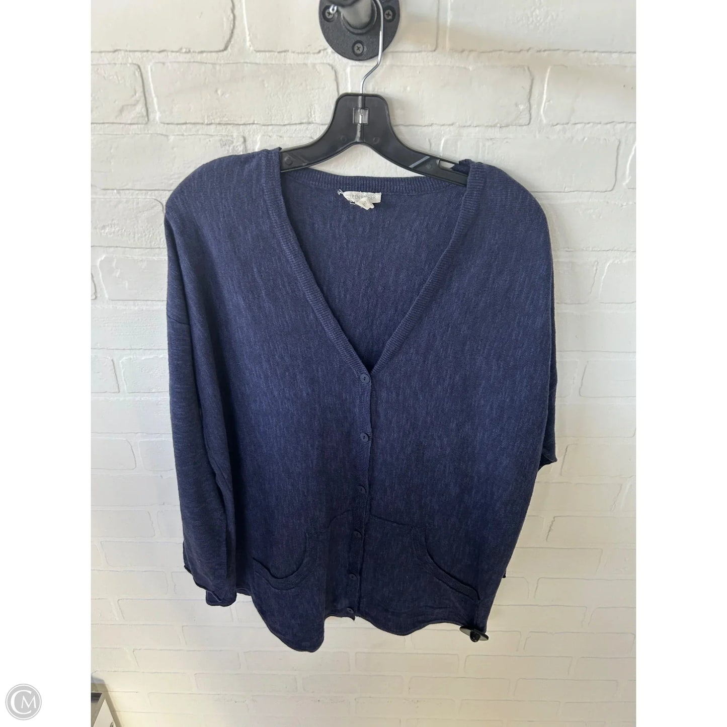 Sweater Cardigan By Eileen Fisher In Blue, Size: L