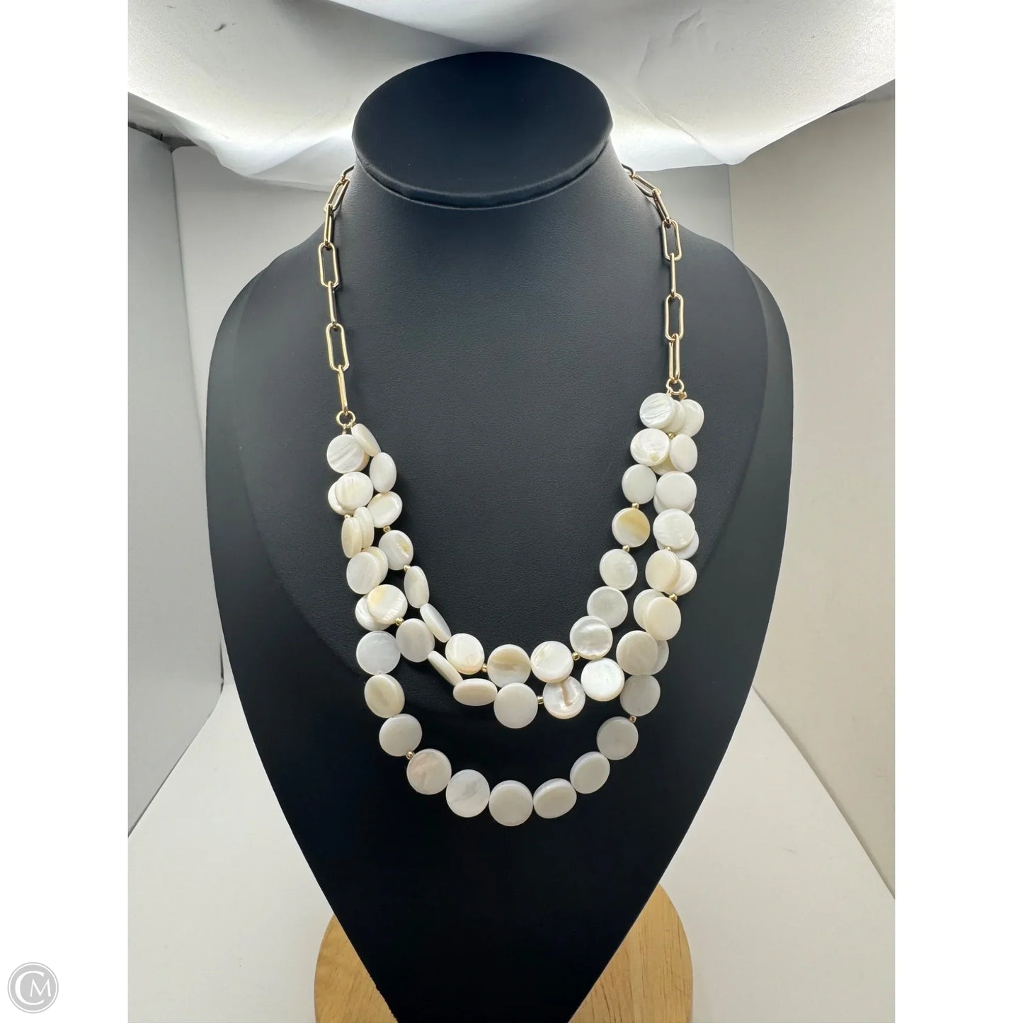 Necklace Layered By Ann Taylor