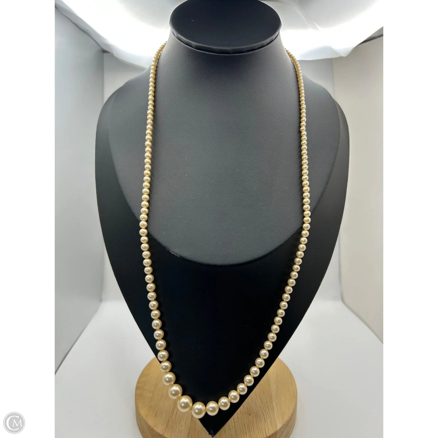 Necklace Chain By Clothes Mentor