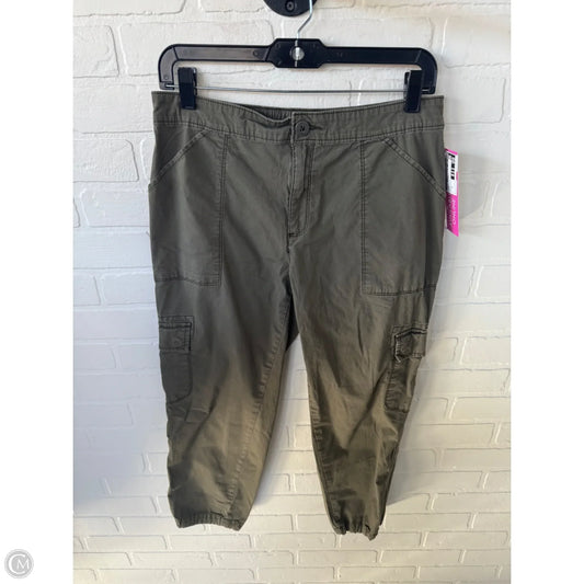 Pants Joggers By Social Standard By Sanctuary In Green, Size: 8