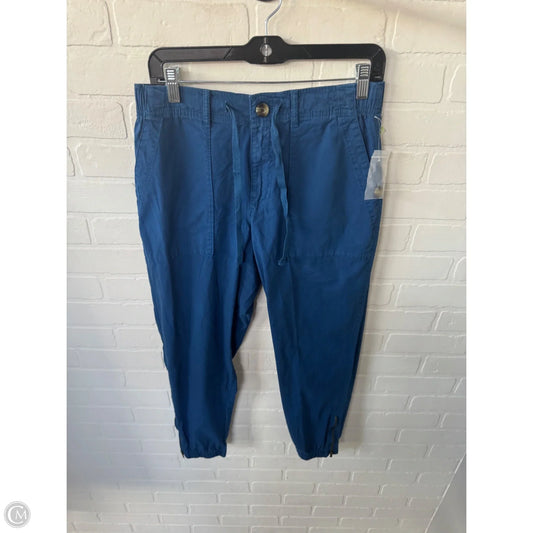 Pants Joggers By Sonoma In Blue, Size: 8p