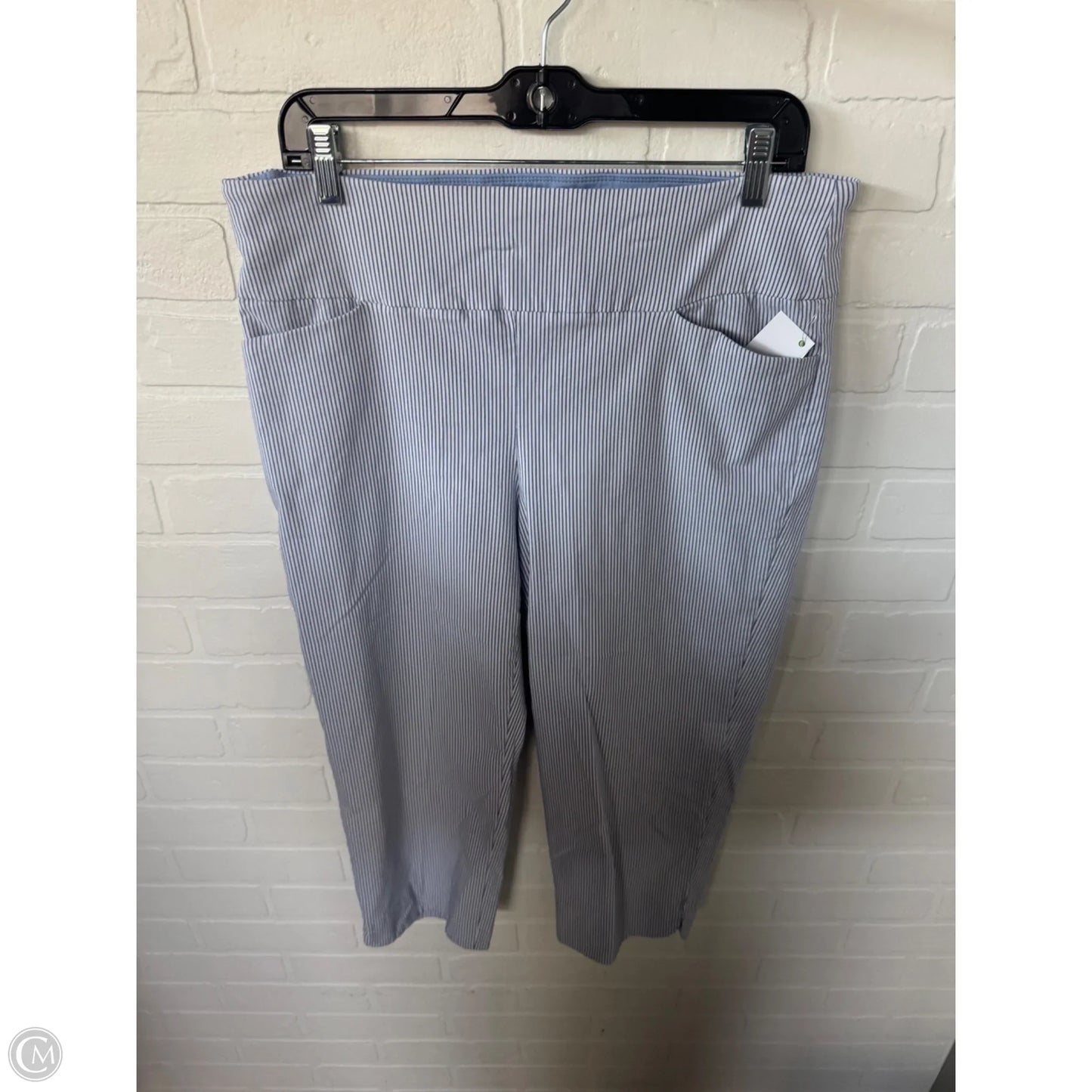 Capris By Sc & Co In Blue & White, Size: 16