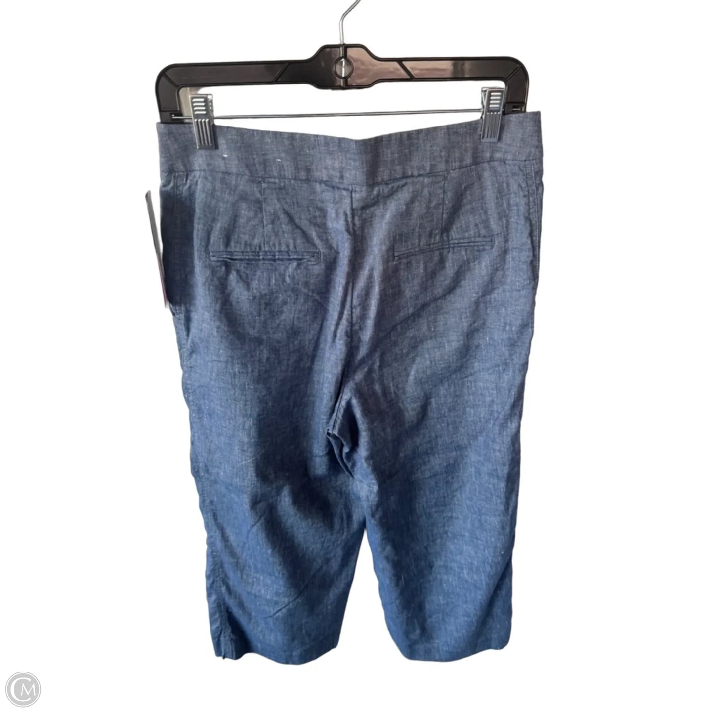 Pants Linen By Ann Taylor In Blue, Size: 6p