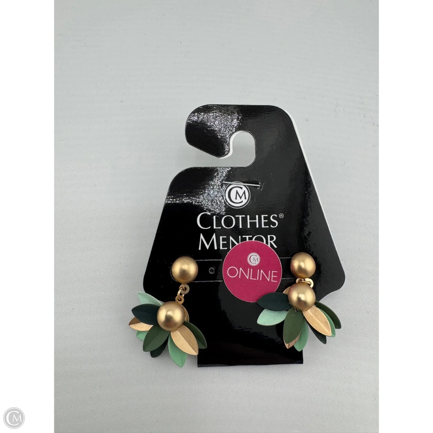 Earrings Dangle/drop By Clothes Mentor