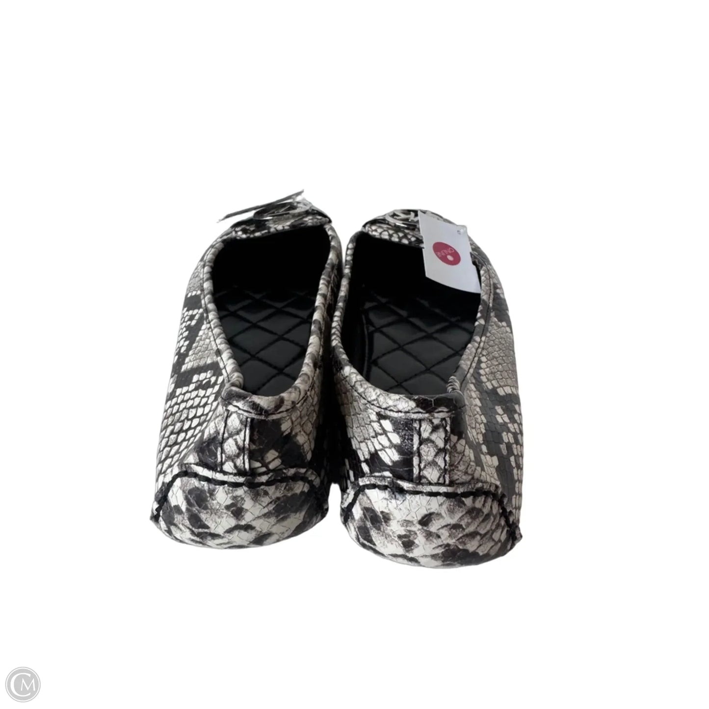 Shoes Flats By Michael By Michael Kors In Snakeskin Print, Size: 9