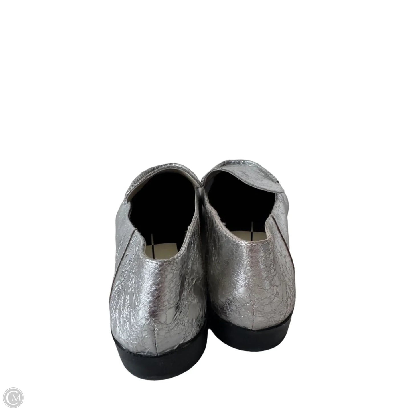 Shoes Flats By Dolce Vita In Silver, Size: 9.5