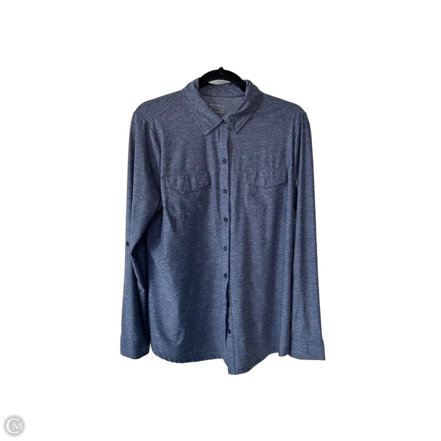 Blouse Long Sleeve By Eddie Bauer In Blue, Size: L