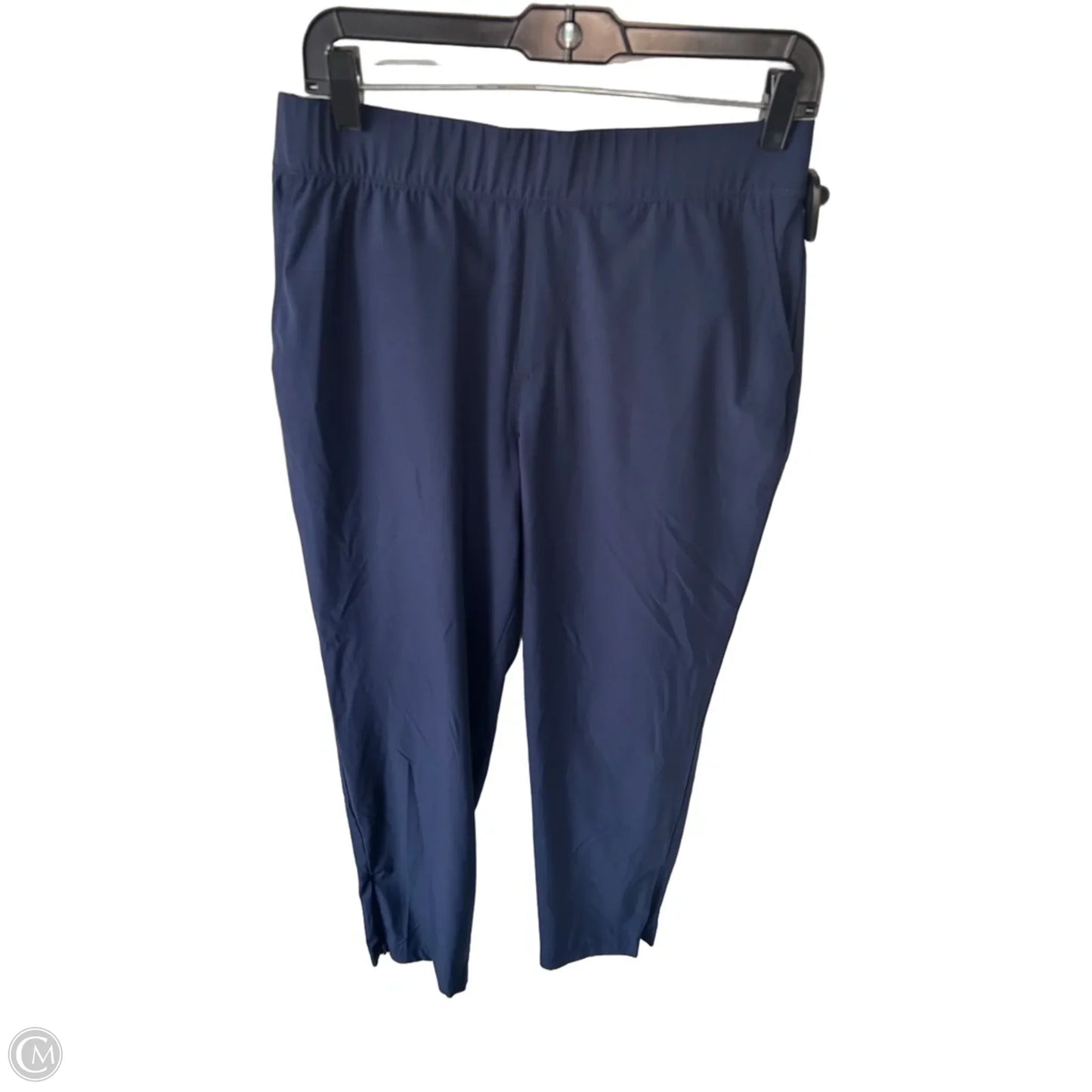 Athletic Pants By Tommy Bahama In Blue, Size: L
