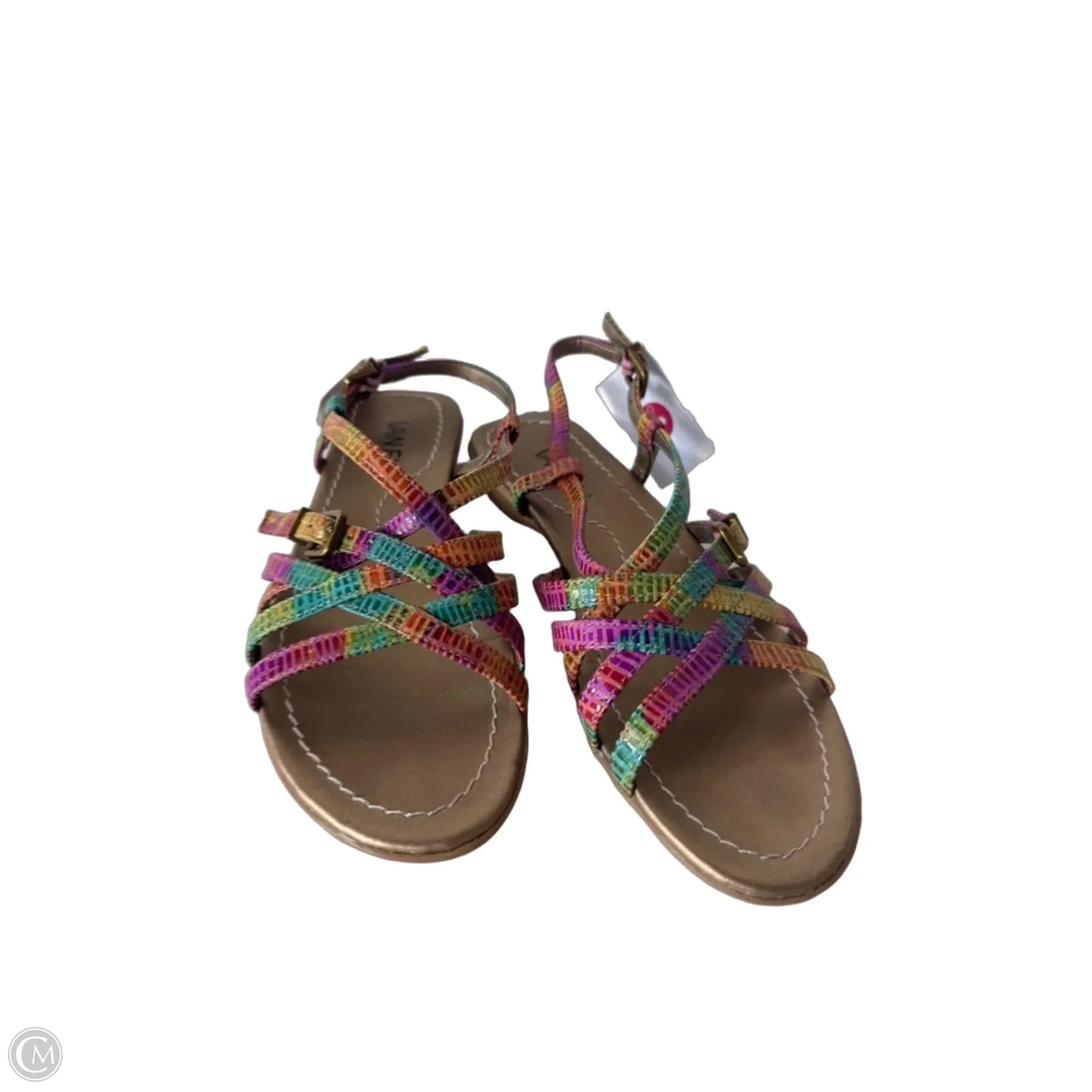 Sandals Flats By Vaneli In Green & Pink, Size: 5.5