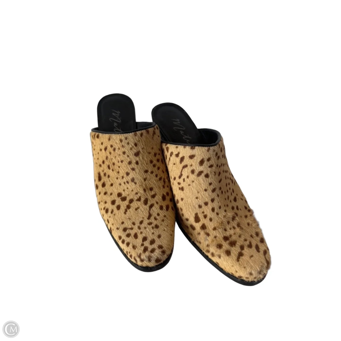 Shoes Heels Block By Matisse In Animal Print, Size: 8