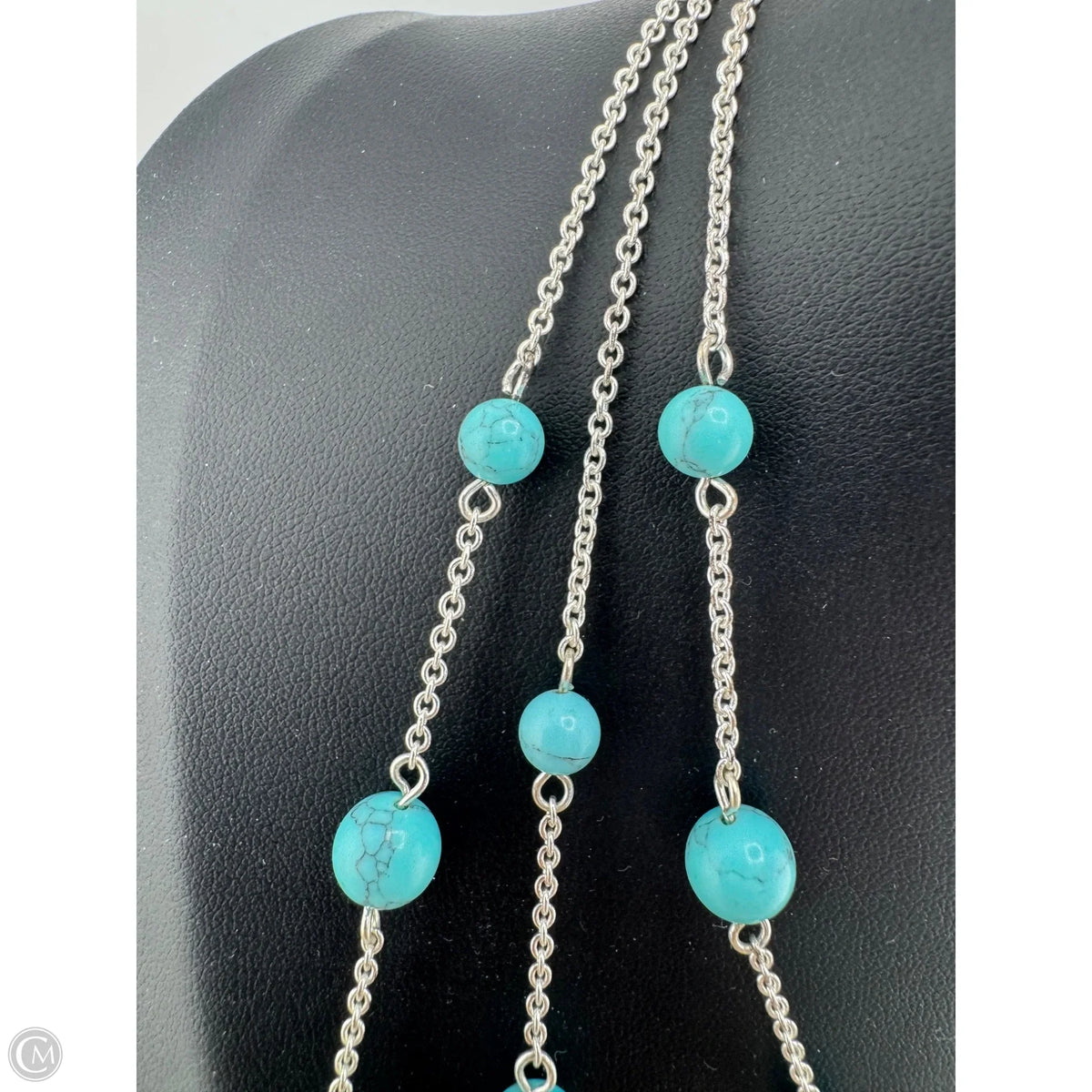 Necklace Layered By Clothes Mentor