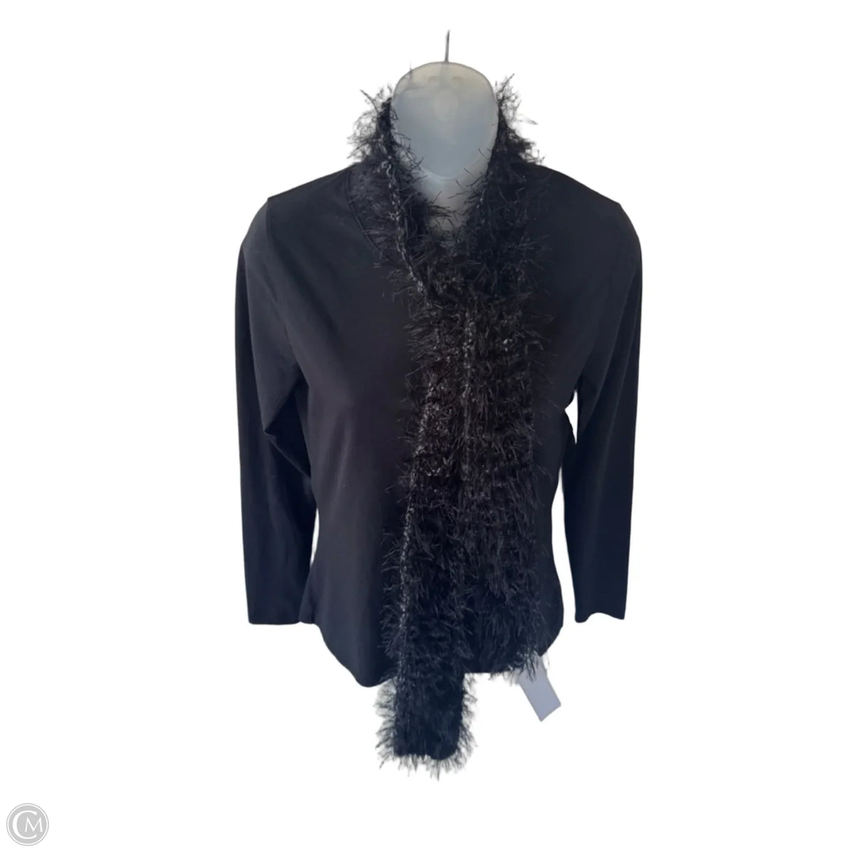 Scarf Long By Clothes Mentor