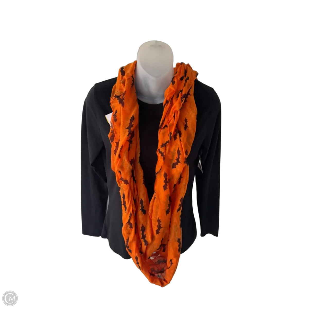 Scarf Long By Clothes Mentor