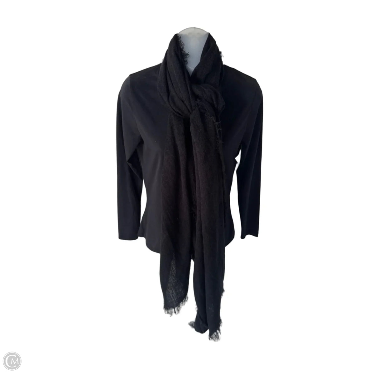 Scarf Long By Clothes Mentor