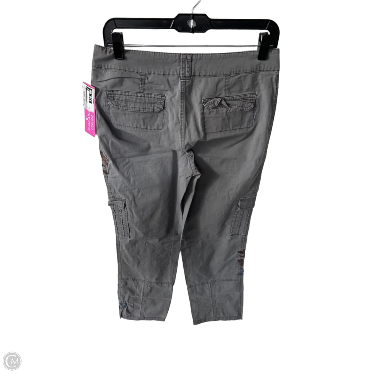 Pants Cargo & Utility By Sundance In Grey, Size: 4