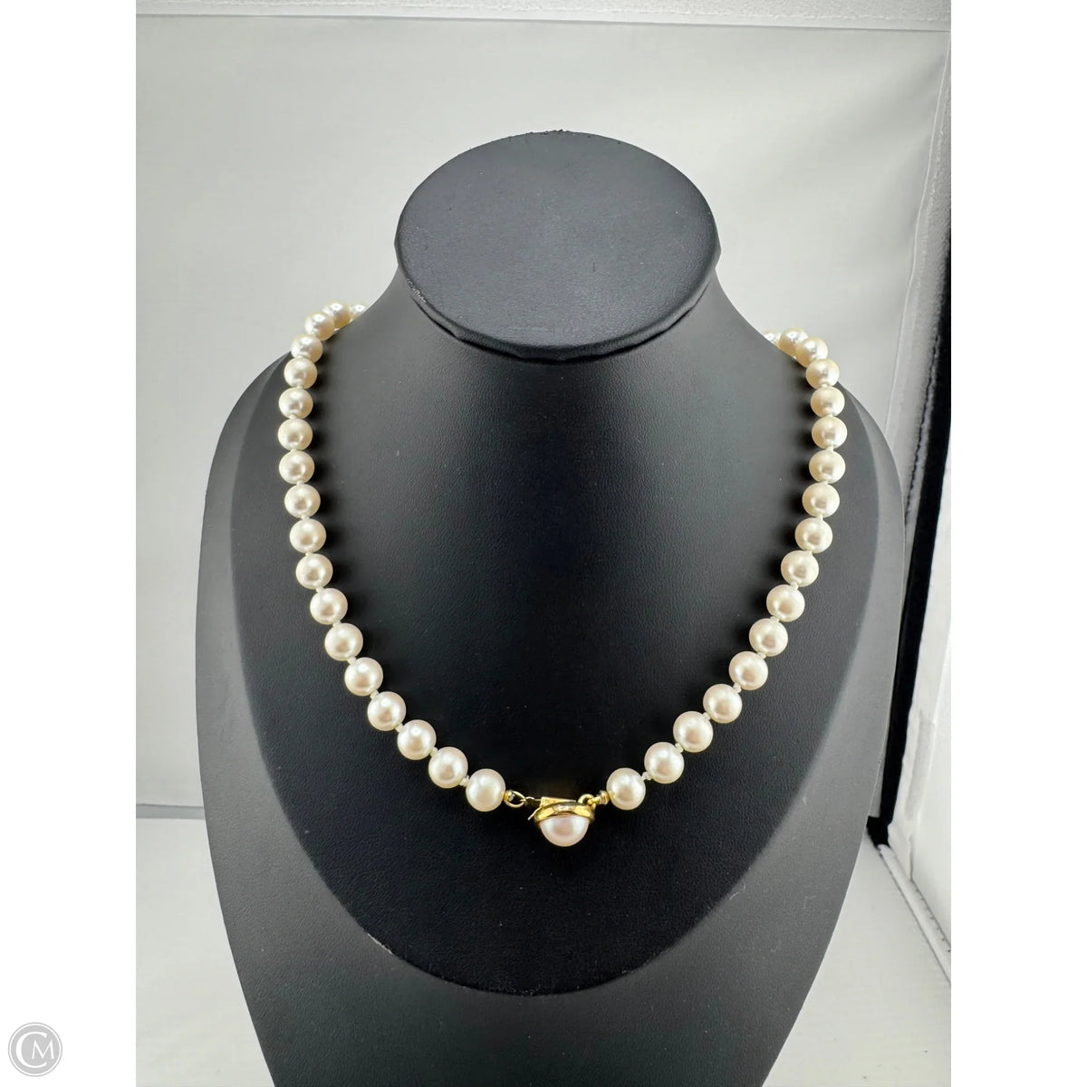 Necklace Chain By Clothes Mentor